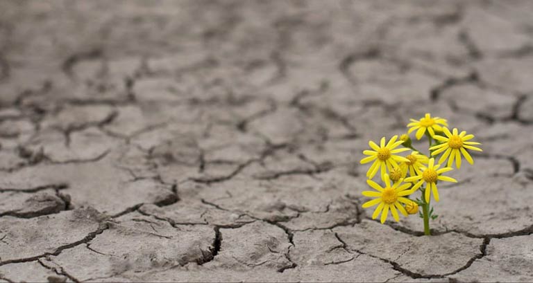 بررسی نقش امید در تحقق ایدئال‌های جمعی